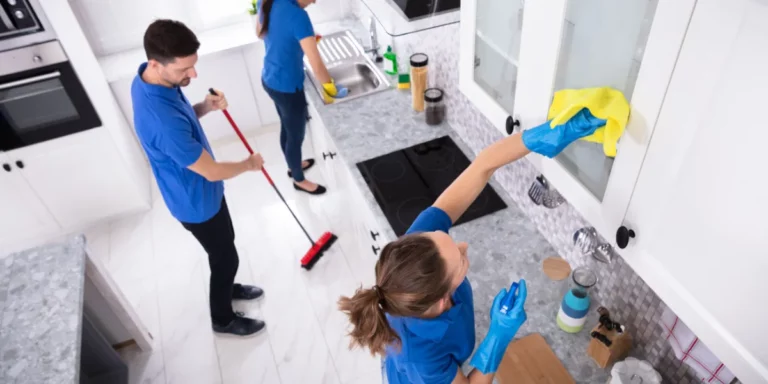 What to Do After Pest Control